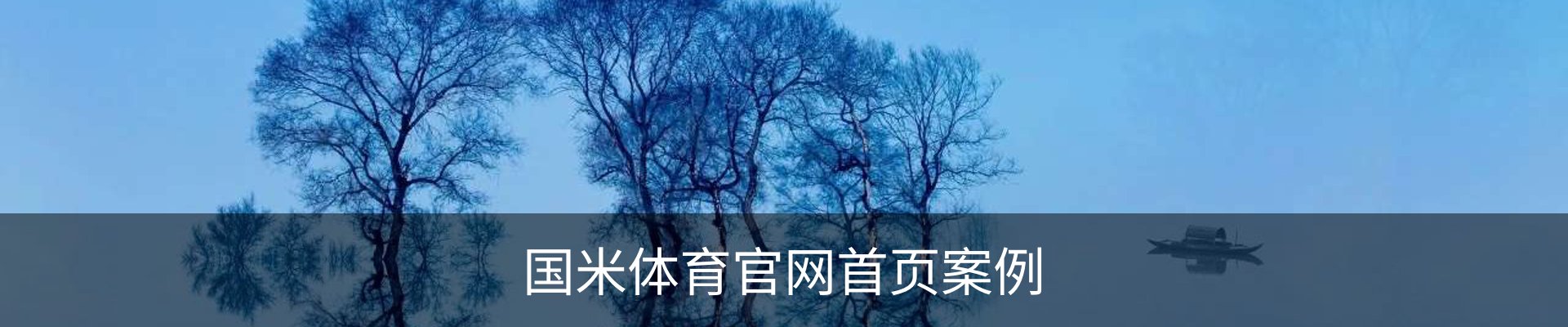 国米体育官网首页案例